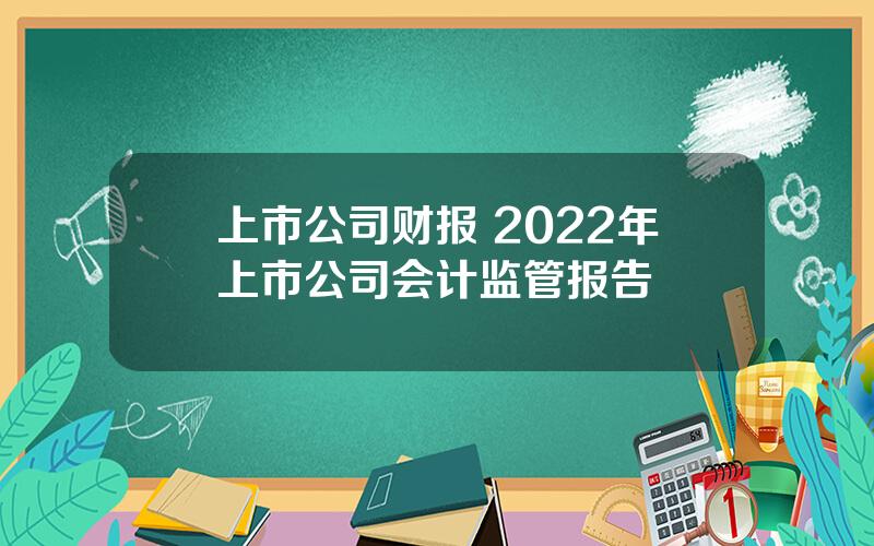 上市公司财报 2022年上市公司会计监管报告